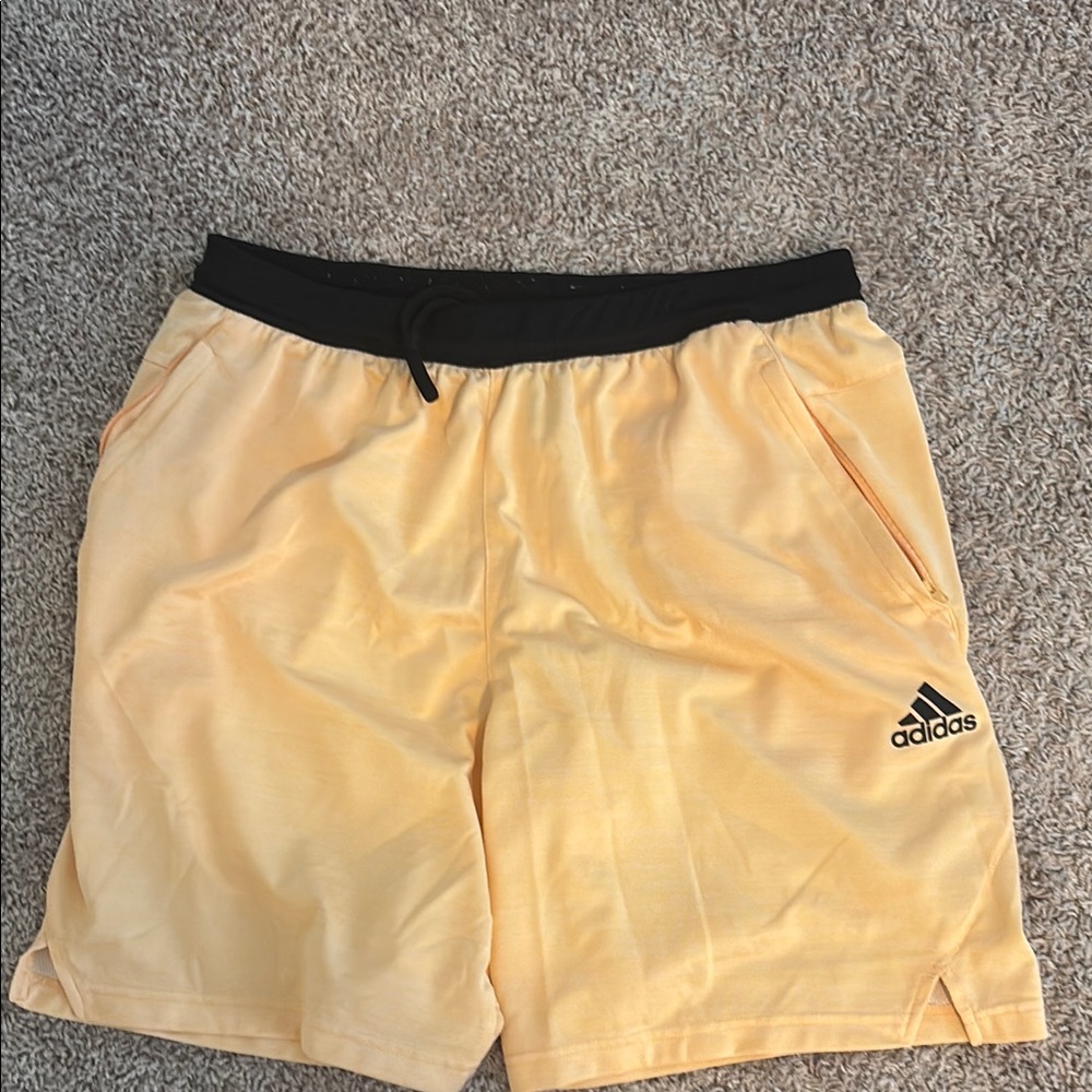 Adidas Men's Orange Shorts